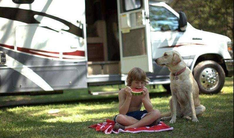 Captura de pantalla 2018 12 24 a las 12.29.42 - Viajar en autocaravana con perro &iexcl;Consejos &uacute;tiles!