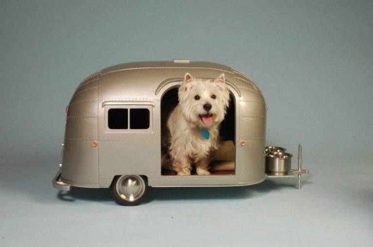 Captura de pantalla 2018 12 24 a las 12.34.50 - Viajar en autocaravana con perro &iexcl;Consejos &uacute;tiles!