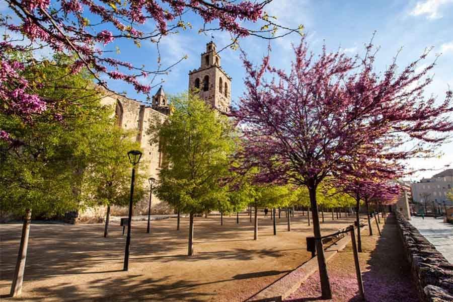 Alquiler de autocaravanas en Sant Cugat 1 - Alquiler de autocaravanas en Sant Cugat