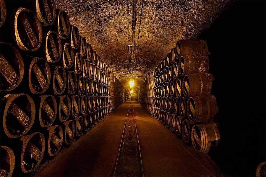 Visitando bodegas con autocaravana por La Rioja Visitando bodegas con autocaravana por La Rioja Bodegas Lopez de Heredia - Visitando bodegas con autocaravana por La Rioja