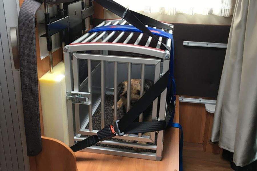 Que llevar en la autocaravana si viajas con perro 2 - Qu&eacute; llevar en la autocaravana si viajas con perro