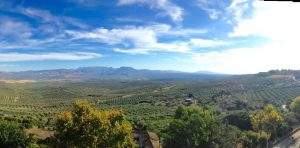 T&uacute; decides d&oacute;nde viajar al mejor precio. 