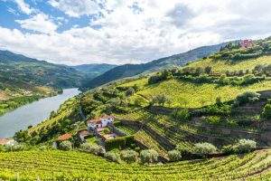 Valle del Duero portugu&eacute;s