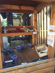 Puestos de fruta o licores 