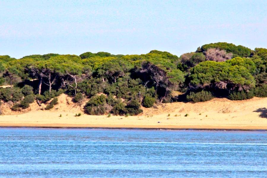 Viaje en autocaravana por Huelva y sus costas